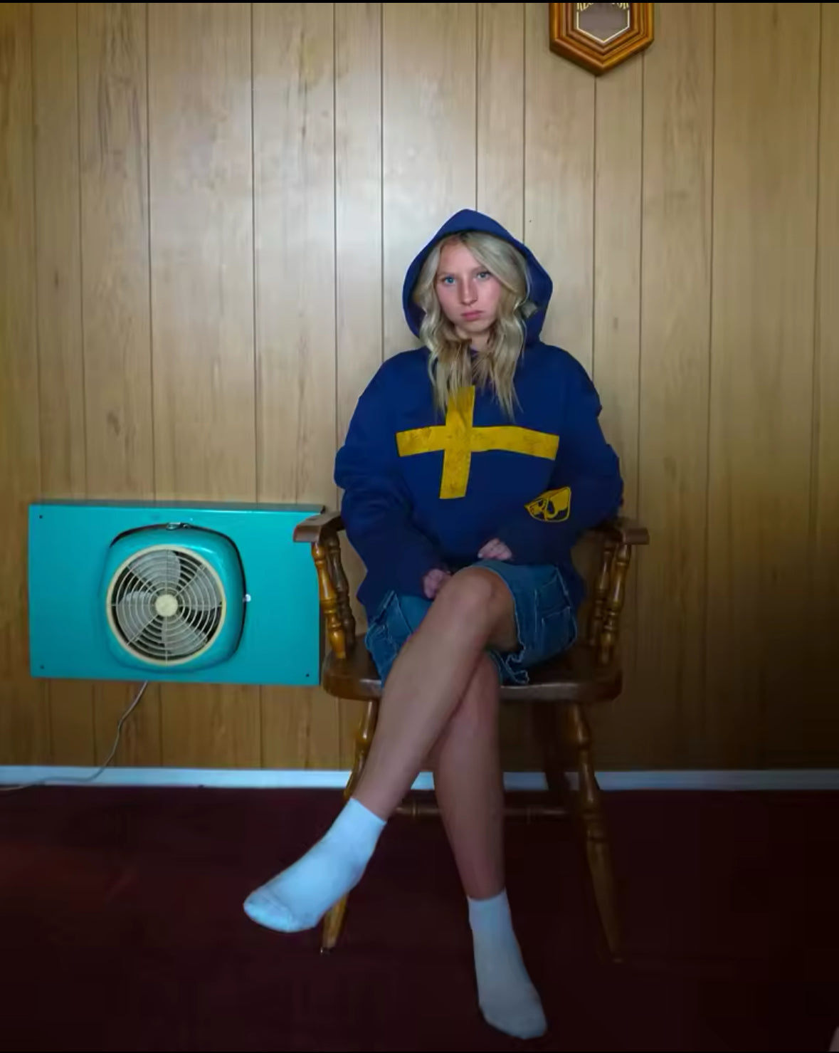 Sweden Hoodie